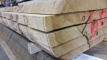 Massivträ Ek Europeisk Prima